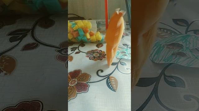 кот поет смотреть онлайн