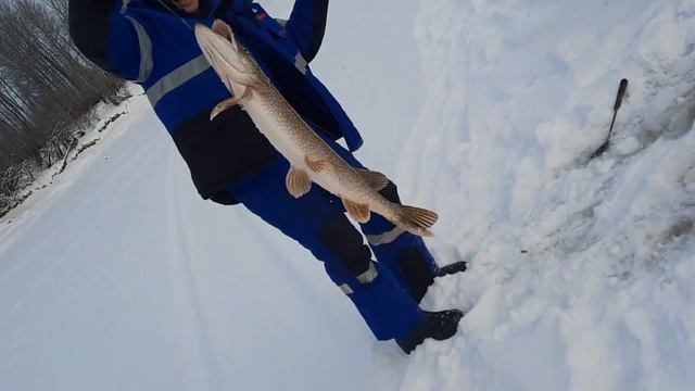 Рыбалка на Лозве смотреть онлайн