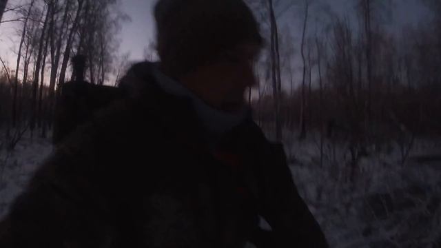 Охота на Куницу.ЛРЕ.Насыщенный День.Куницы.Лоси.!!!!!!!!!!!! смотреть онлайн