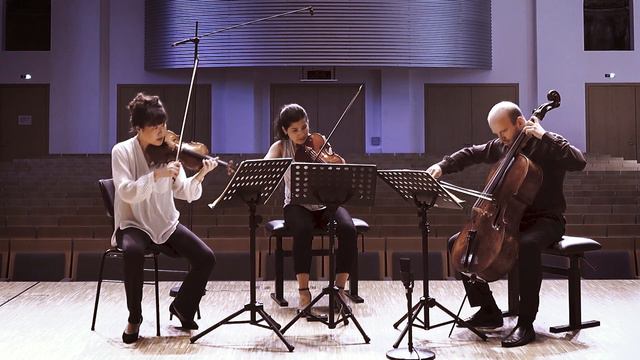 Trio Boccherini, Beethoven Trio Op 9 Nr 3 смотреть онлайн