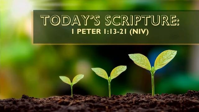 Growing in the Faith: Hope, Help and Holiness 01-14-2024 смотреть онлайн