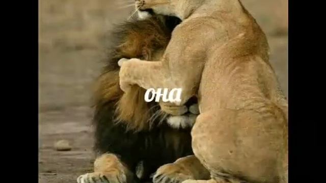 Это про мою маму ?)) С ДНЁМ МАТЕРИ)) ВСЕХ МАМ)) ??? смотреть онлайн