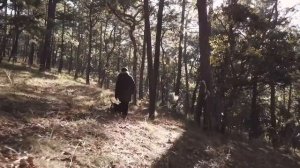 Spring 3. ALLEGRO | Vivaldi - The Four Seasons