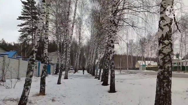 1-QISm QISh SANATASI