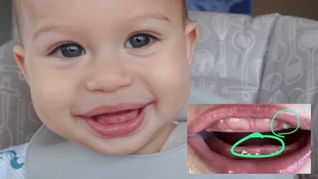 Влог из Чикаго ?? Шоппинг, хейт, Navy Pier колесо обозрения