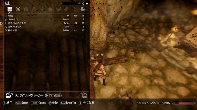 skyrim SE mod 女の子で旅をする #19 смотреть онлайн