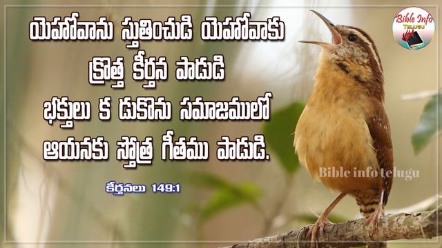నీ నోటితో దేవుని స్తుతించి, ఘనపరచు - సజీవవాక్యము ||14-02-2022|| Bible Info Telugu смотреть онлайн