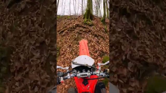 #enduro #зимавсочи #hardenduro #байк #мотоцикл #питбайк #сочи #эндуро Прокат эндуро в Сочи ? смотреть онлайн