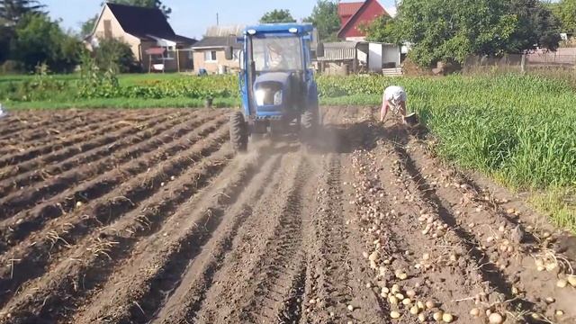 Картофелекопалка Bomet Z655 вибрационная с боковыи выбросом смотреть онлайн