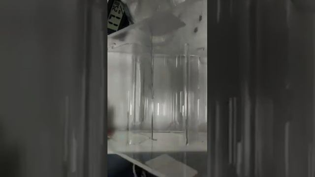 обзор клея для наращивания ресниц Prestige Professional смотреть онлайн