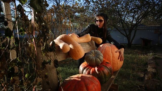 Тыквы, тыквы...красота!!! смотреть онлайн
