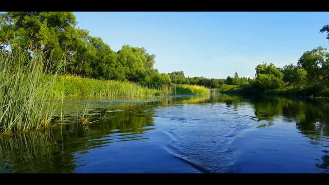 Мощные поклевки на свимбейты! Тестируем воблер CHIMERA Delara 100FL. смотреть онлайн