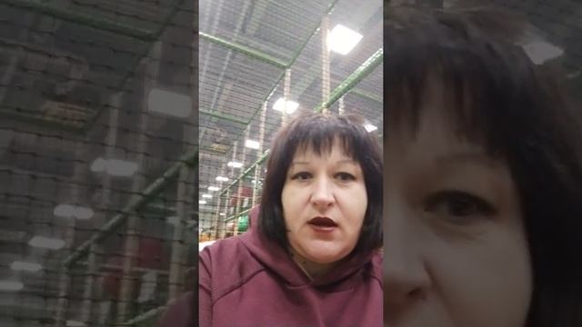 Выбираем правильные продукты для приготовления тортика смотреть онлайн