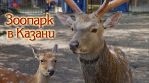 Казанский зоопарк