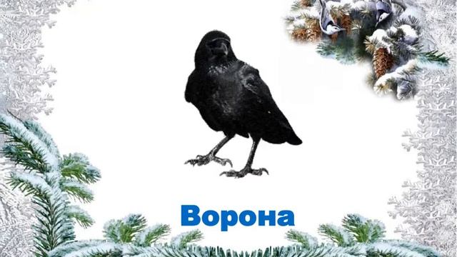 ЗИМНИЕ ПТИЦЫ смотреть онлайн
