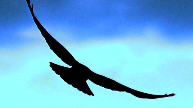 Посвящается памяти А.Монина. "МОНИН - РОК", 2012г. смотреть онлайн