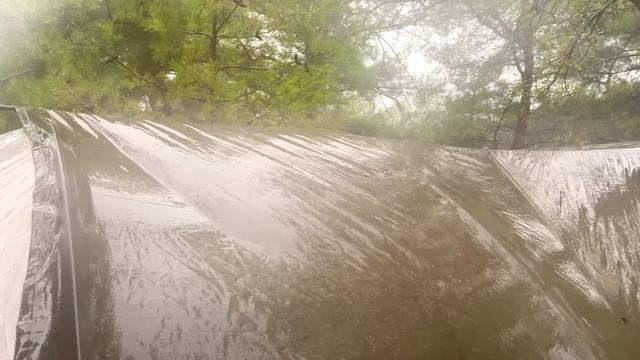 Camping In Heavy Rain, Rainstorm And Strong Winds! • Bad Weather Camping With My Dog