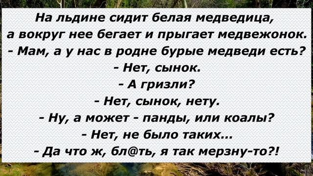 Анекдоты самые Смешные и самые Свежие! Поднимут Вам Настроение!))) 76 смотреть онлайн
