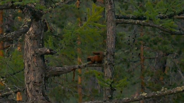 ПРИРОДА БАЙКАЛА | Остров Ольхон