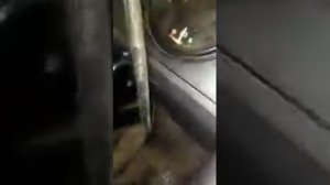 МАЗ нет зарядки.хотя стоит все новое.решение проблемы