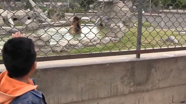 DE PASEO EN EL "PARQUE DE LAS LEYENDAS" смотреть онлайн