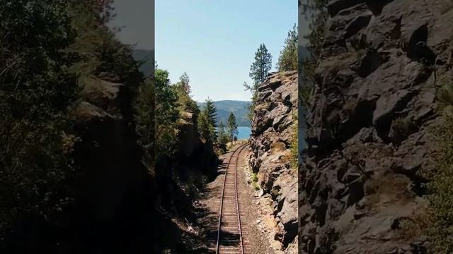 😢Human traces in nature?!?! Следы человека в природе?!?!😢 смотреть онлайн