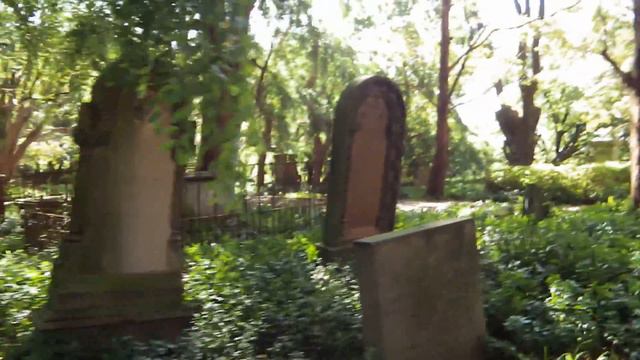 The Doomed Dunbar , SOLE SURVIVOR смотреть онлайн