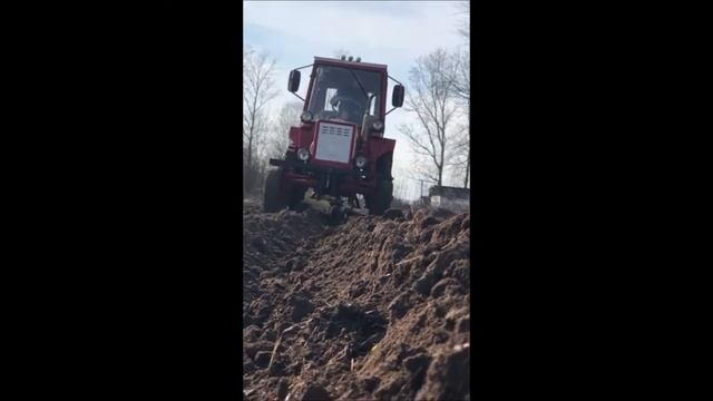 Пашем землю. Нарезаем боровки. Сажаем картофель. смотреть онлайн