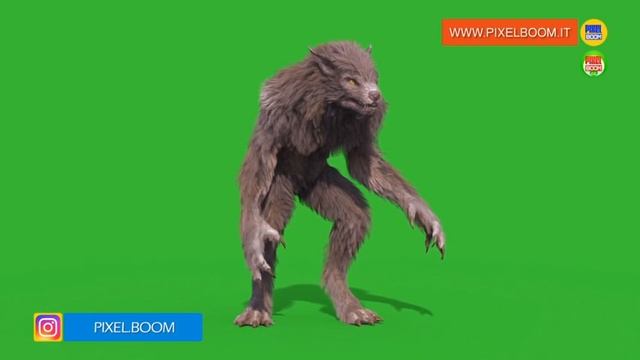 Green Screen Werewolf Real Fur 3D Animation PixelBoom смотреть онлайн