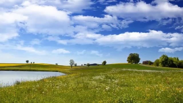 Если не исполнил ни одной заповеди. Преподобный Варсонофий Оптинский. смотреть онлайн