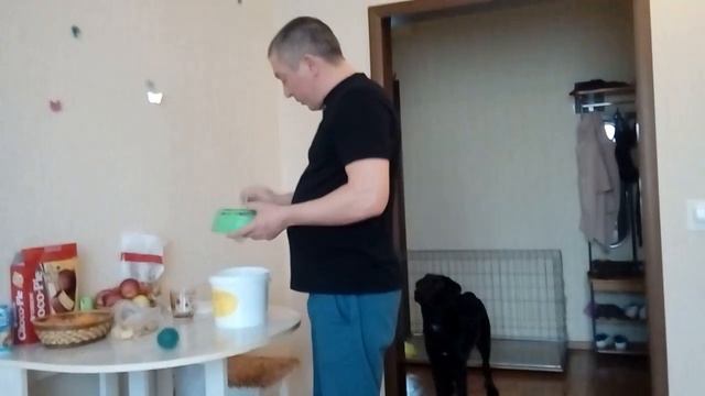 Отзыв Лабрадора Марлика о Натуральном корме для собак Каша с мясом Сытый пёс смотреть онлайн