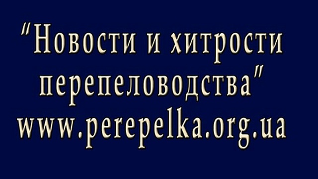 В Сочи возрождается старейшее в России и СССР перепелиное хозяйство