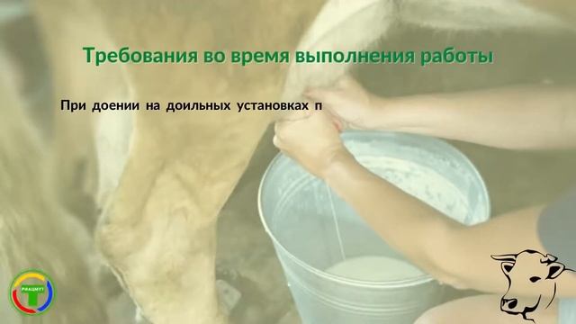 Правила безопасности в животноводстве смотреть онлайн