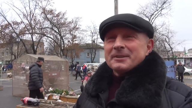 Г. Черкассы может гордиться такими голубеводами. Николаевские голуби. смотреть онлайн