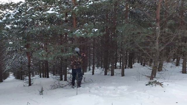 Медведь-Шатун? смотреть онлайн
