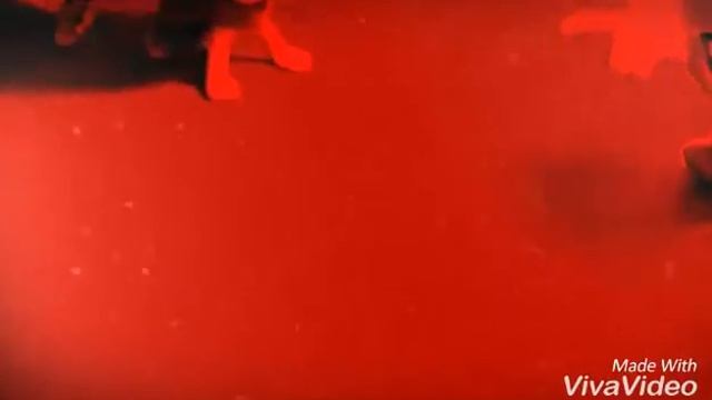 Клип в честь Осенних каникул смотреть онлайн