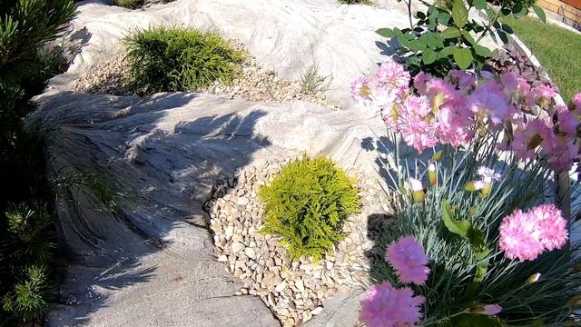 Альпийская горка своими руками. Альпийская горка из бетона. Растения на альпийской горке. смотреть онлайн