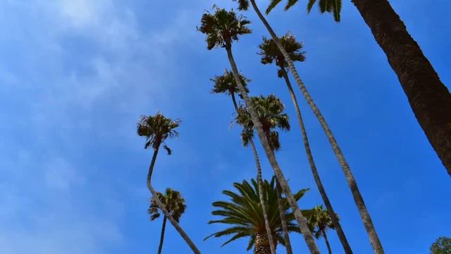 Port of Los Angeles смотреть онлайн