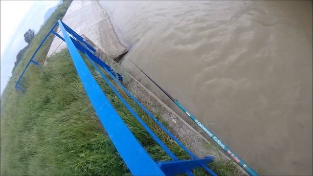 Голавль на куриную печень Часть 2 смотреть онлайн