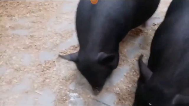 Возми меня с собой смотреть онлайн