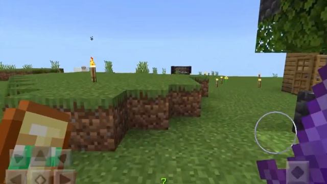 WE CURED SHAGUN’S SKIN IN MINECRAFT (Syntax error) pt.2 смотреть онлайн