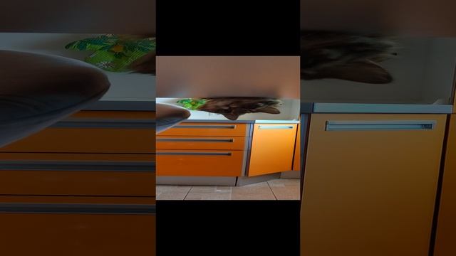 Любимая Бусина игра 