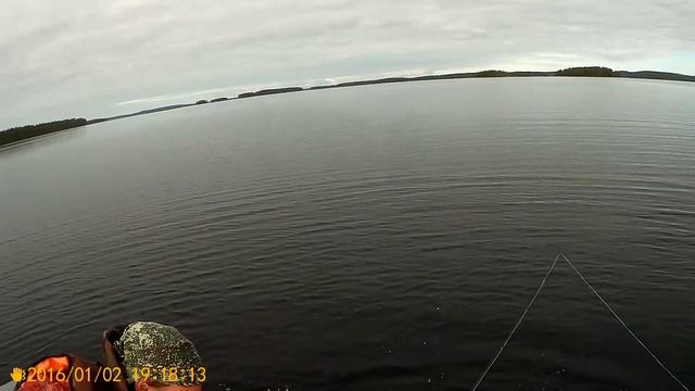 Окунь на 1560 гр смотреть онлайн