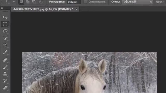 Как изменить размер изображения в Фотошопе смотреть онлайн