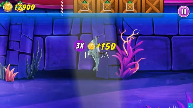 игра шоу дельфинов my dolphin show игровой дельфинарий смотреть онлайн