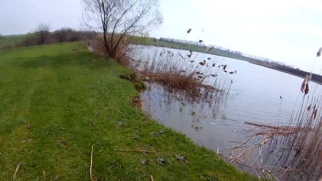 ВЛОГ : ПРАЗДНУЕМ 5К ПОДПИСЧИКОВ смотреть онлайн