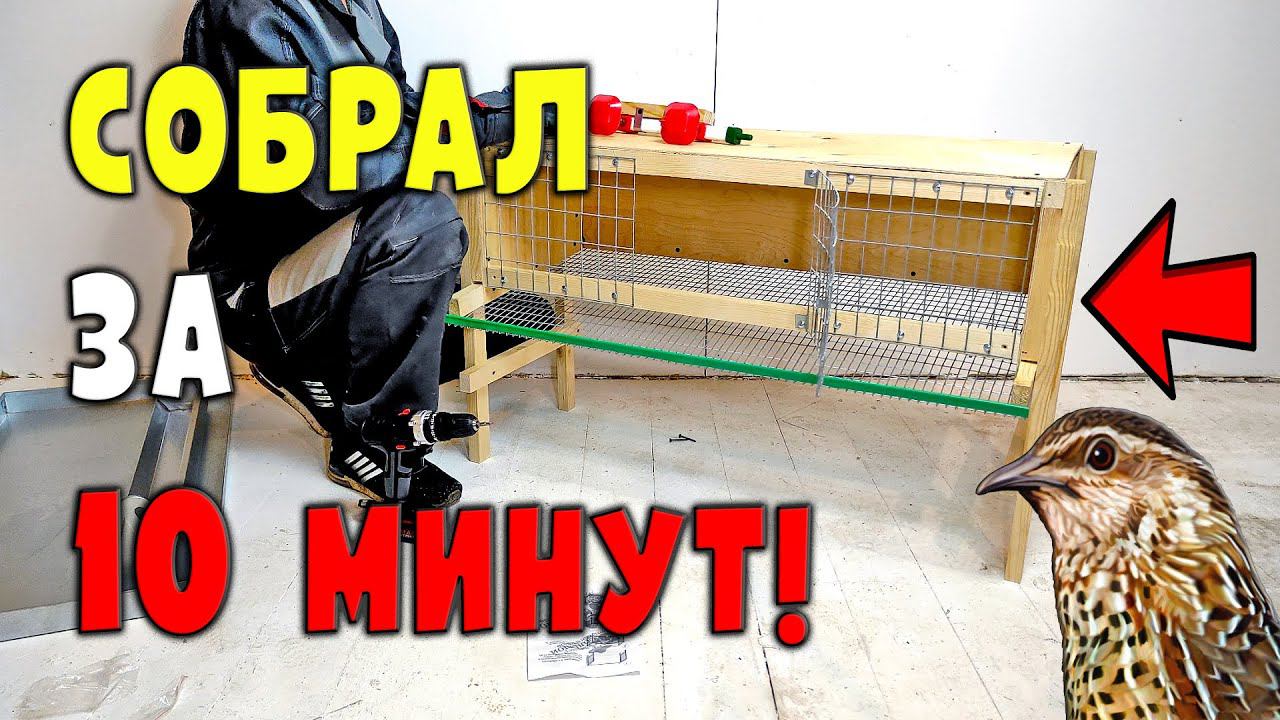 Новая клетка для перепелов. Собрать за 10 минут! смотреть онлайн