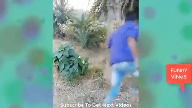 Super Yigma Prikollar 2019 Doyunca Guleceyiniz Prikol Video Compilation Funny Videos Prikol Market