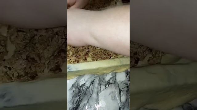 ПИРОГ С РЫБНЫМ ФАРШЕМ #(Благовещенский курник) смотреть онлайн