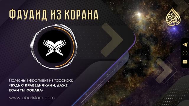 Будь с праведниками, даже если ты собака — Абу Ислам аш-Шаркаси смотреть онлайн